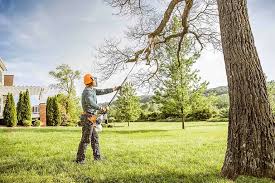 How Our Tree Care Process Works  in  Averill Park, NY