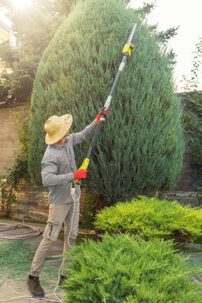 Best Lawn Pest Prevention  in Averill Park, NY